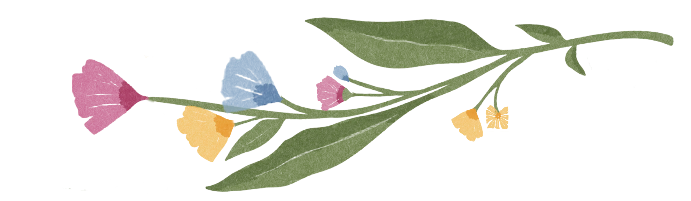 flower illustration